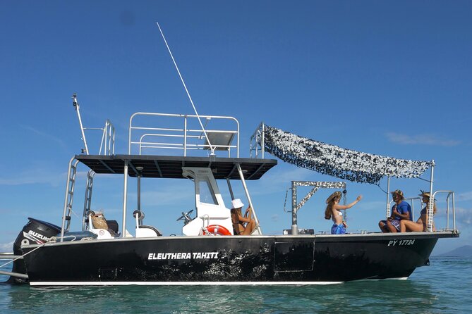 Whale Watching Activity - A small boat makes the encounter more personal