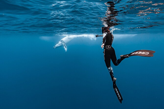 Whale watching and snorkelling in Moorea - Entering the ocean with Ivy