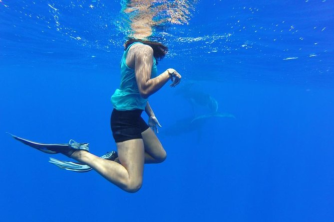 Whale Watching Bora Bora - Is this suitable for you?