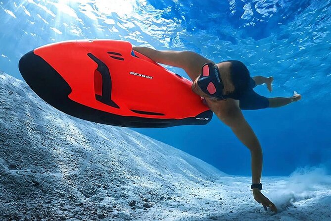 Whale Watching Bora Bora - Booking, cancellation, and weather details