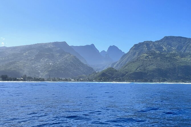 Whale watching DE Humpback West Coast of Tahiti - Why Tahiti’s humpback season matters