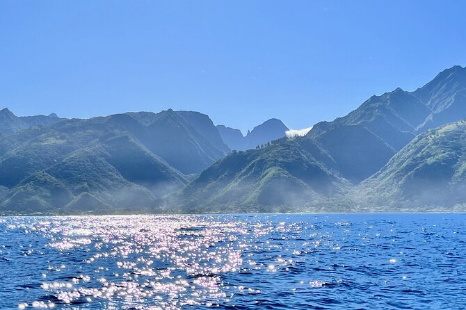 Whale watching DE Humpback West Coast of Tahiti - Watching whales from the boat