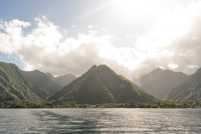 Whale watching DE Tahiti Peninsula - Who may enter the water