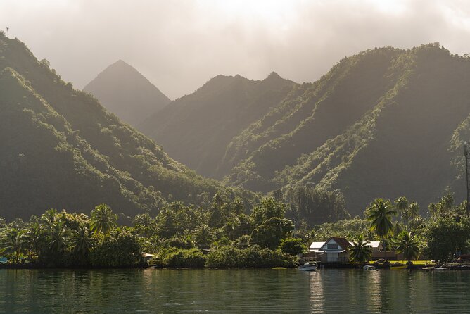 Whale watching DE Tahiti Peninsula - Weather, cancellations, and physical demands