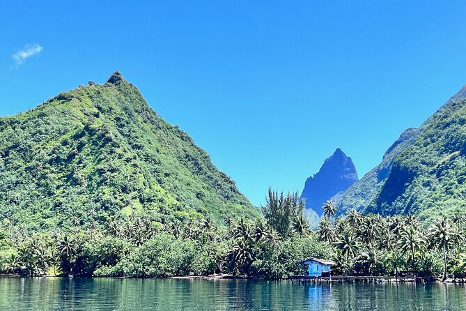 Whale watching DE Tahiti Peninsula - A four-hour search for humpback whales