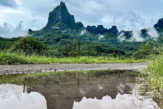 Whale watching in Moorea - Who will enjoy this trip most