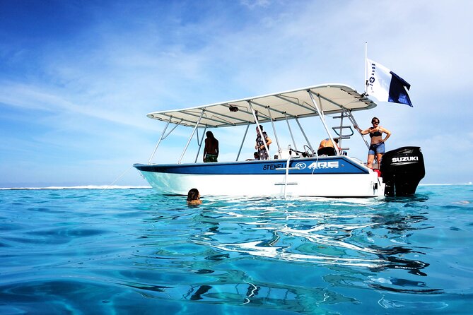 Whale watching on the preserved and quiet coast of Paea (Pk26) - Weather, comfort, and what to bring