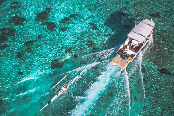Whale Watching Shared Half Day - A Crew That Keeps the Mood Personal