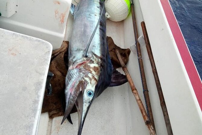 Wholesale Fishing in Poti Marara at Tahiti Teahupoo Peninsula - How comfortable is the Poti Marara?